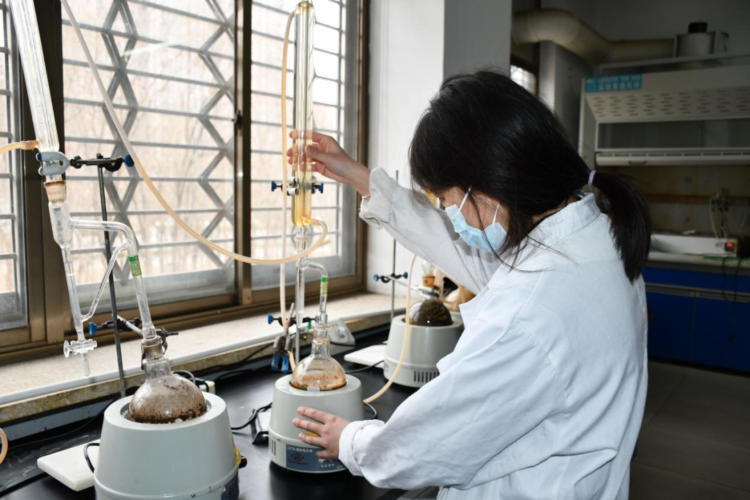 一年之計在于春，青春奮斗正當時——醫(yī)養(yǎng)健康集團